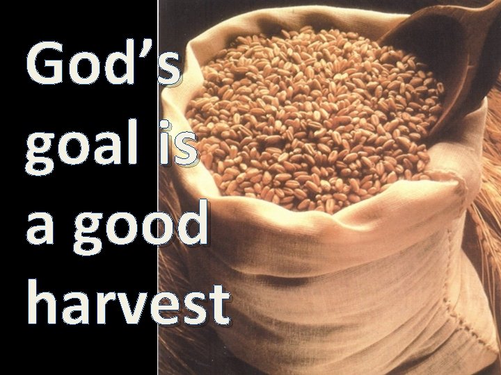 God’s goal is a good harvest 