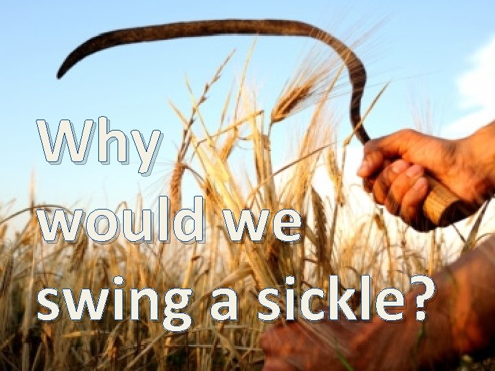 Why would we swing a sickle? 
