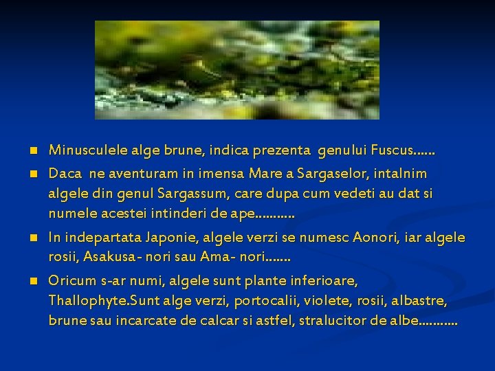 n n Minusculele alge brune, indica prezenta genului Fuscus. . . Daca ne aventuram