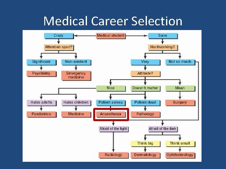 Medical Career Selection 