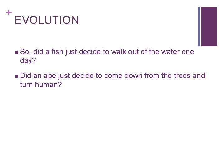 + EVOLUTION n So, did a fish just decide to walk out of the