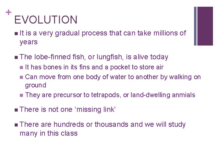 + EVOLUTION n It is a very gradual process that can take millions of