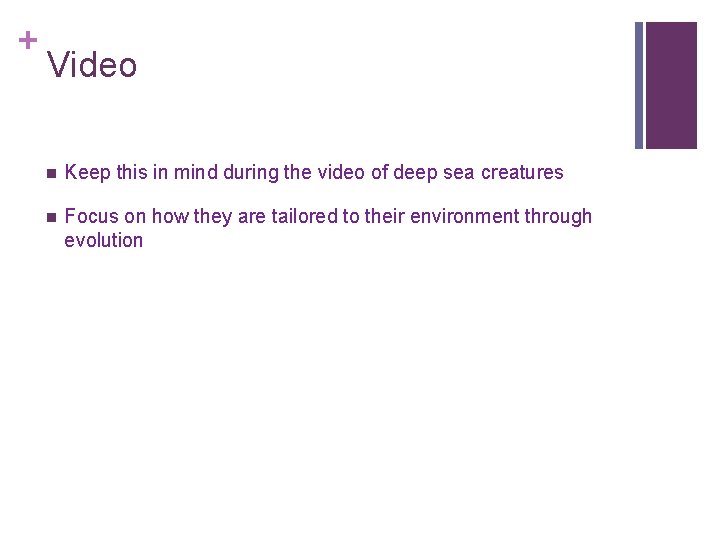 + Video n Keep this in mind during the video of deep sea creatures