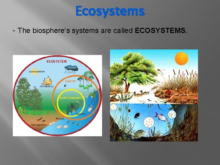 Ecosystems - The biosphere’s systems are called ECOSYSTEMS. 