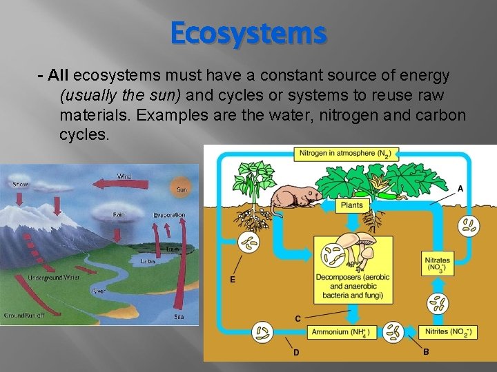 Ecosystems - All ecosystems must have a constant source of energy (usually the sun)