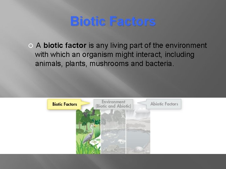 Biotic Factors A biotic factor is any living part of the environment with which