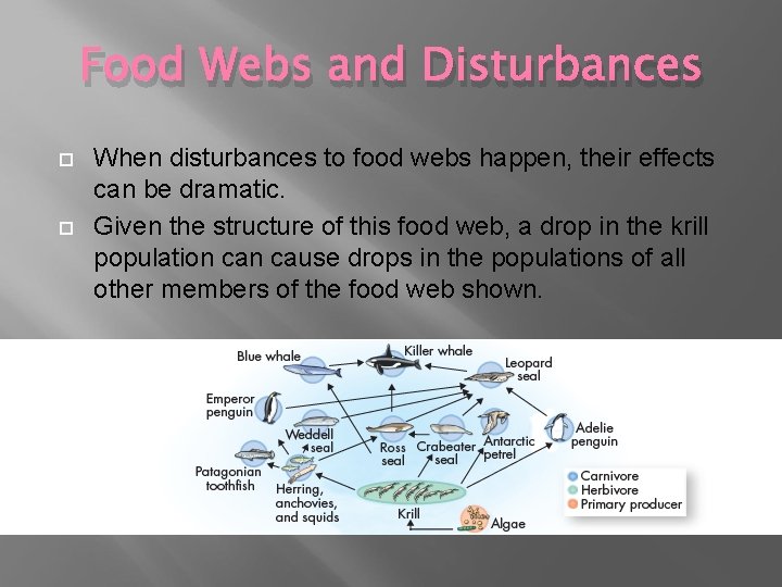 Food Webs and Disturbances When disturbances to food webs happen, their effects can be