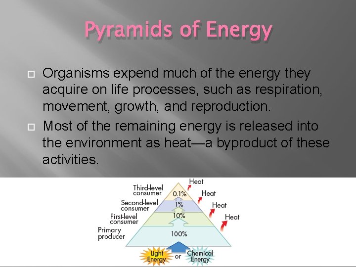 Pyramids of Energy Organisms expend much of the energy they acquire on life processes,