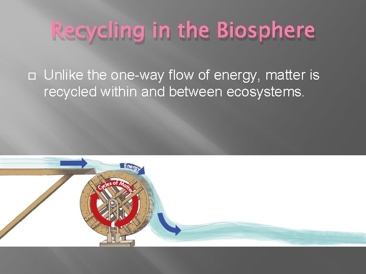 Recycling in the Biosphere Unlike the one-way flow of energy, matter is recycled within