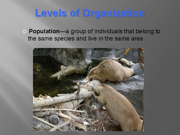 Levels of Organization Population—a group of individuals that belong to the same species and