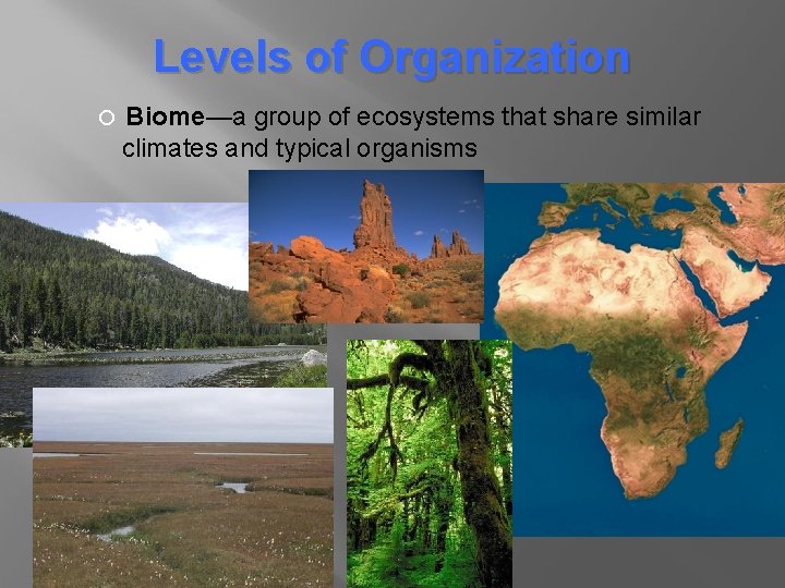 Levels of Organization Biome—a group of ecosystems that share similar climates and typical organisms