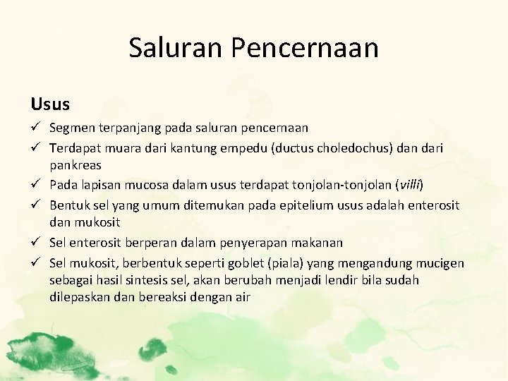 Saluran Pencernaan Usus ü Segmen terpanjang pada saluran pencernaan ü Terdapat muara dari kantung