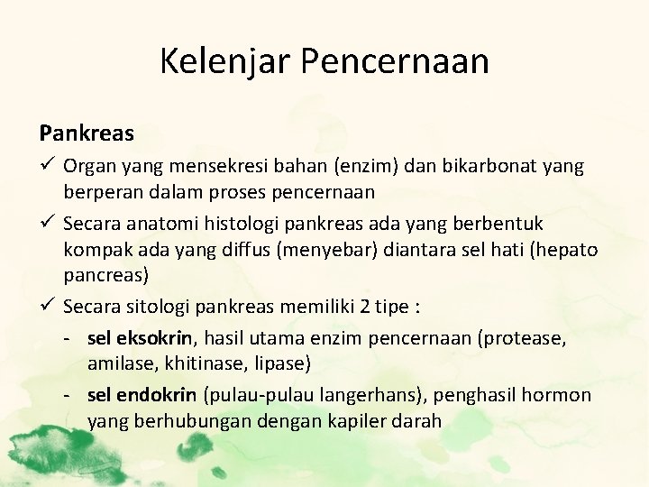 Kelenjar Pencernaan Pankreas ü Organ yang mensekresi bahan (enzim) dan bikarbonat yang berperan dalam