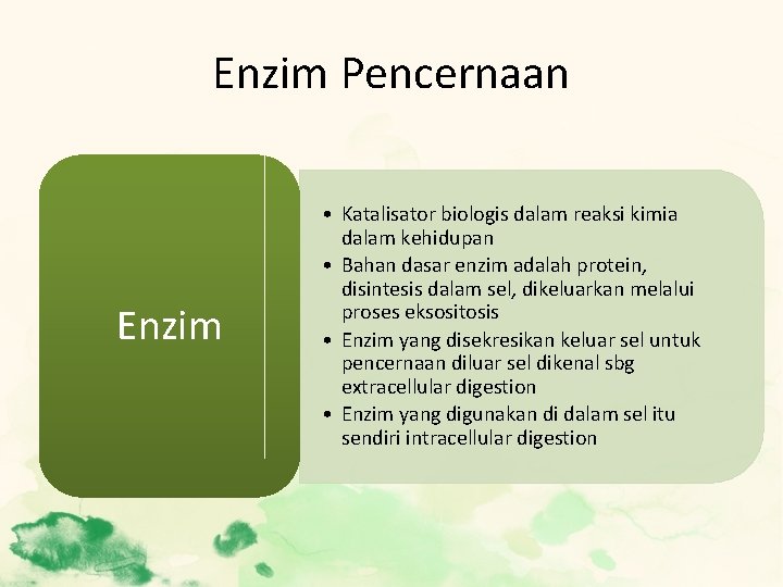 Enzim Pencernaan Enzim • Katalisator biologis dalam reaksi kimia dalam kehidupan • Bahan dasar