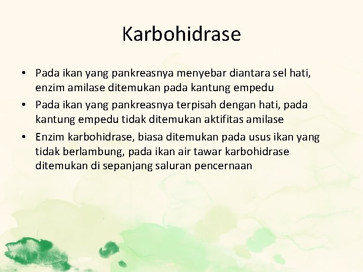 Karbohidrase • Pada ikan yang pankreasnya menyebar diantara sel hati, enzim amilase ditemukan pada