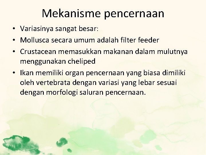 Mekanisme pencernaan • Variasinya sangat besar: • Mollusca secara umum adalah filter feeder •