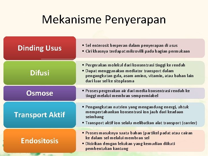 Mekanisme Penyerapan Dinding Usus Difusi Osmose Transport Aktif Endositosis • Sel enterosit berperan dalam