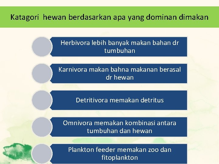 Katagori hewan berdasarkan apa yang dominan dimakan Herbivora lebih banyak makan bahan dr tumbuhan