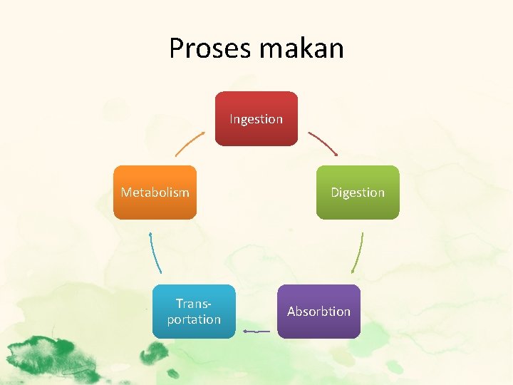 Proses makan Ingestion Metabolism Transportation Digestion Absorbtion 