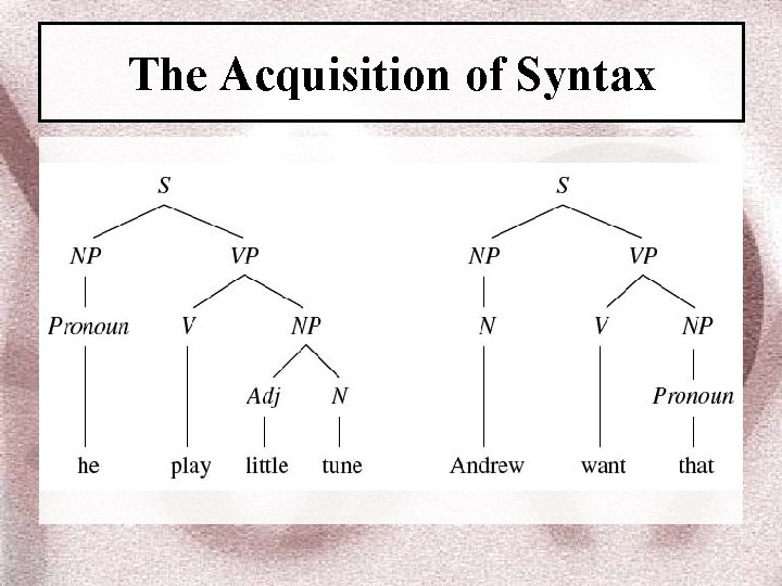 The Acquisition of Syntax 