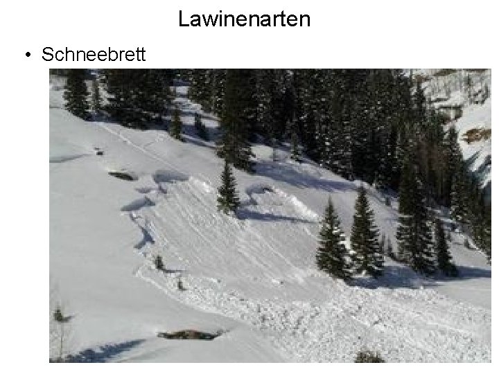 Lawinenarten • Schneebrett 