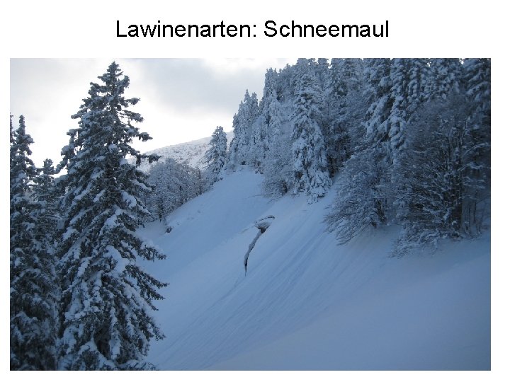 Lawinenarten: Schneemaul 