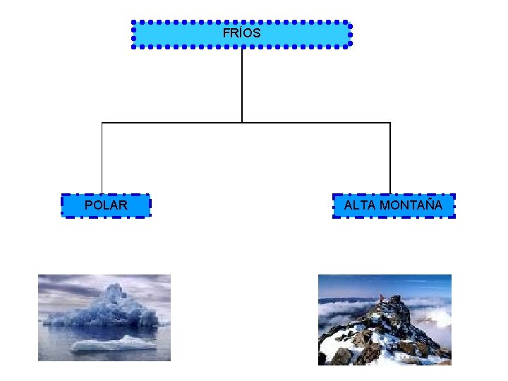 FRÍOS POLAR ALTA MONTAÑA 