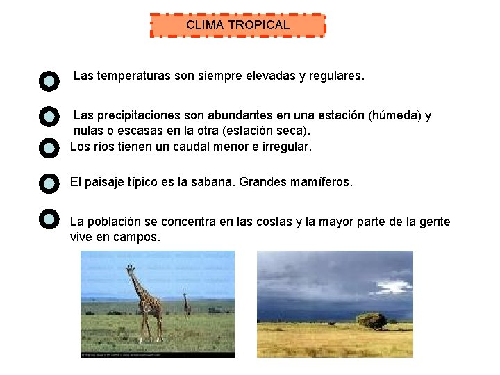 CLIMA TROPICAL Las temperaturas son siempre elevadas y regulares. Las precipitaciones son abundantes en