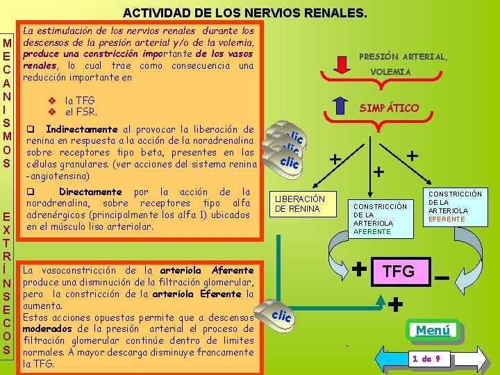 ACTIVIDAD DE LOS NERVIOS RENALES. M E C A N I S M O ACTIVIDAD DE LOS NERVIOS RENALES. M E C A N I S M O