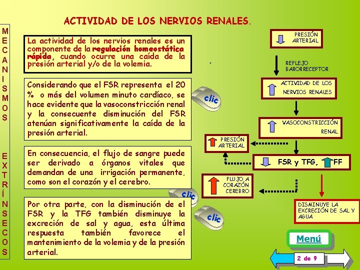 ACTIVIDAD DE LOS NERVIOS RENALES. M E C A N I S M O ACTIVIDAD DE LOS NERVIOS RENALES. M E C A N I S M O