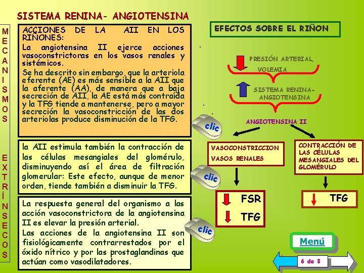 SISTEMA RENINA- ANGIOTENSINA M E C A N I S M O S E SISTEMA RENINA- ANGIOTENSINA M E C A N I S M O S E