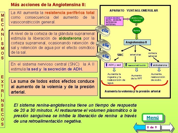 Más acciones de la Angiotensina II: M E C A N I S M Más acciones de la Angiotensina II: M E C A N I S M