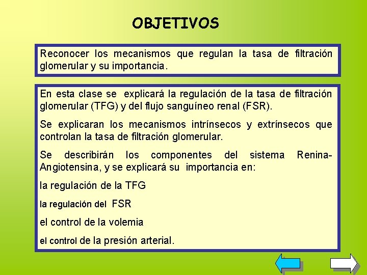 OBJETIVOS Reconocer los mecanismos que regulan la tasa de filtración glomerular y su importancia. OBJETIVOS Reconocer los mecanismos que regulan la tasa de filtración glomerular y su importancia.