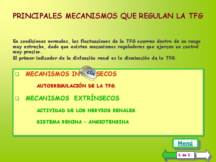 PRINCIPALES MECANISMOS QUE REGULAN LA TFG En condiciones normales, las fluctuaciones de la TFG PRINCIPALES MECANISMOS QUE REGULAN LA TFG En condiciones normales, las fluctuaciones de la TFG