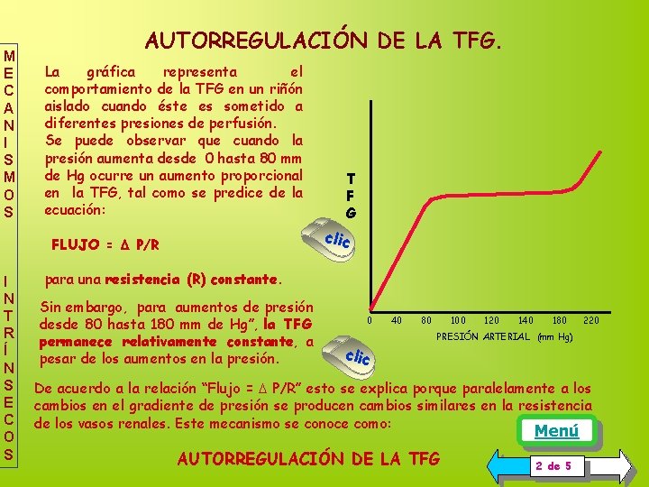 M E C A N I S M O S AUTORREGULACIÓN DE LA TFG. M E C A N I S M O S AUTORREGULACIÓN DE LA TFG.