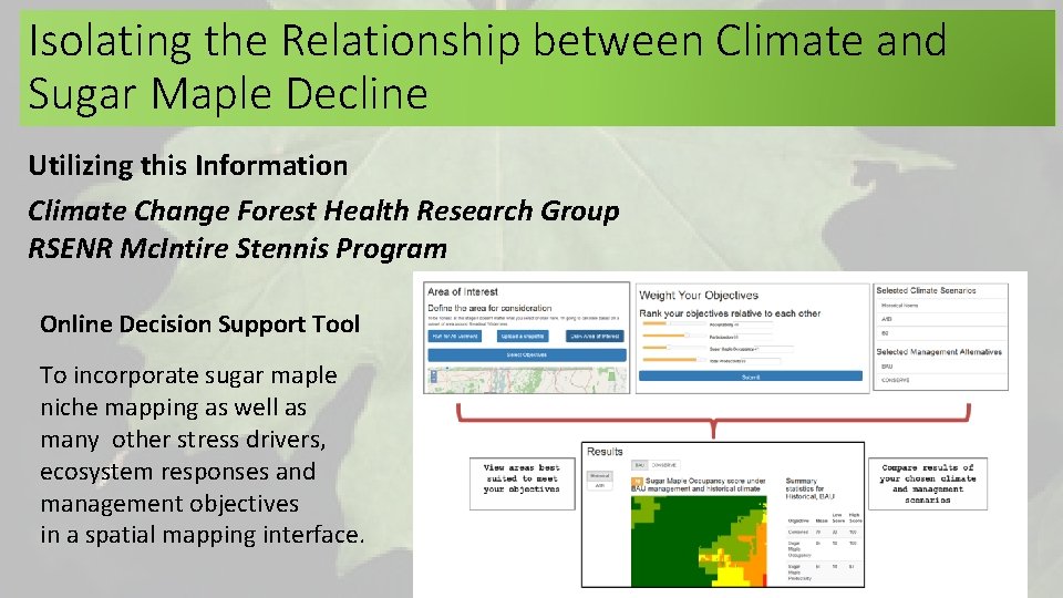 Isolating the Relationship between Climate and Sugar Maple Decline Utilizing this Information Climate Change Isolating the Relationship between Climate and Sugar Maple Decline Utilizing this Information Climate Change