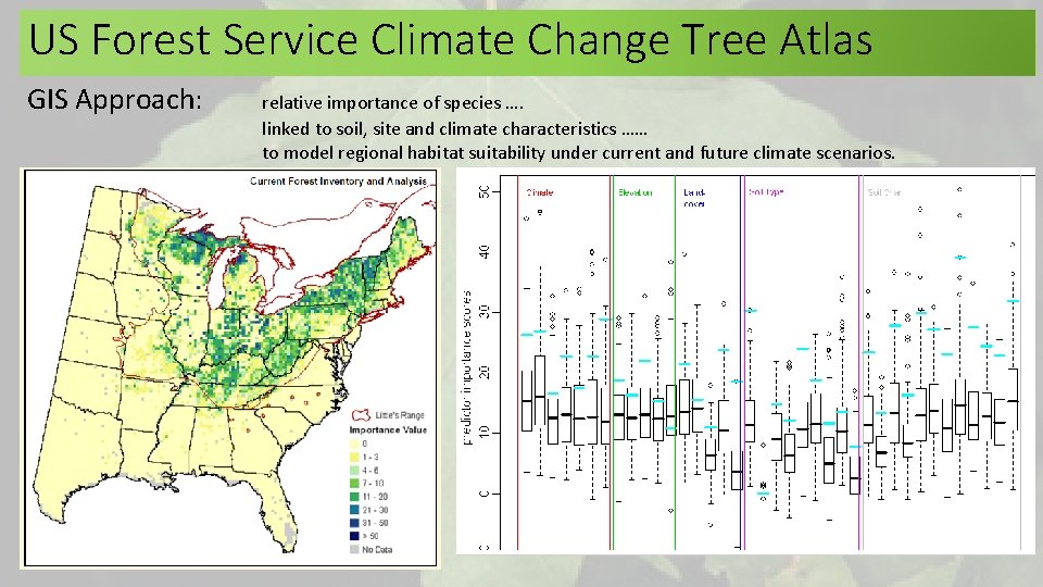 US Forest Service Climate Change Tree Atlas GIS Approach: relative importance of species …. US Forest Service Climate Change Tree Atlas GIS Approach: relative importance of species ….