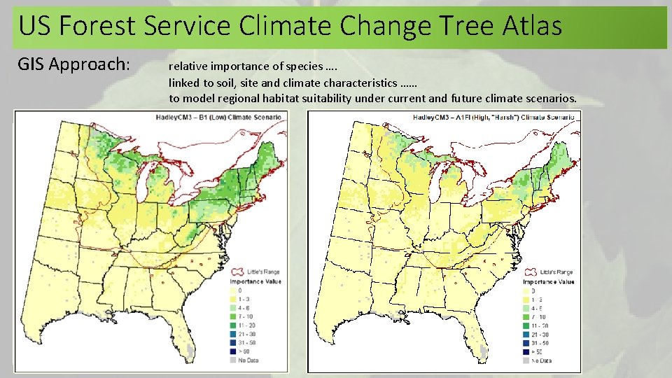 US Forest Service Climate Change Tree Atlas GIS Approach: relative importance of species …. US Forest Service Climate Change Tree Atlas GIS Approach: relative importance of species ….