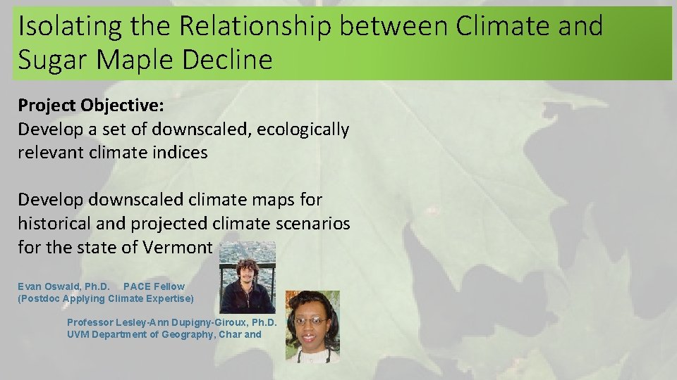 Isolating the Relationship between Climate and Sugar Maple Decline Project Objective: Develop a set Isolating the Relationship between Climate and Sugar Maple Decline Project Objective: Develop a set