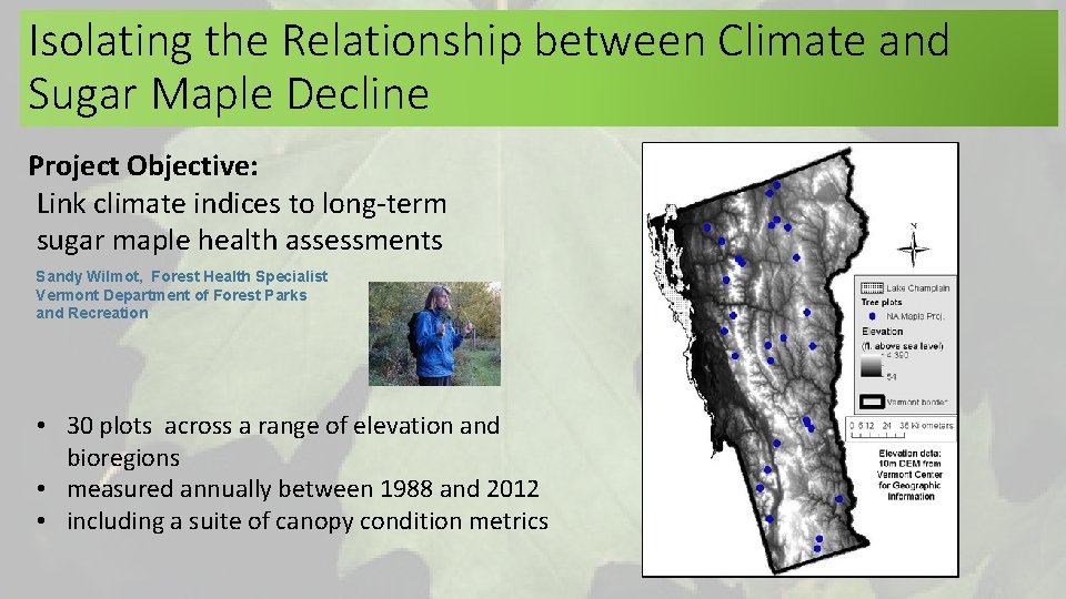 Isolating the Relationship between Climate and Sugar Maple Decline Project Objective: Link climate indices Isolating the Relationship between Climate and Sugar Maple Decline Project Objective: Link climate indices