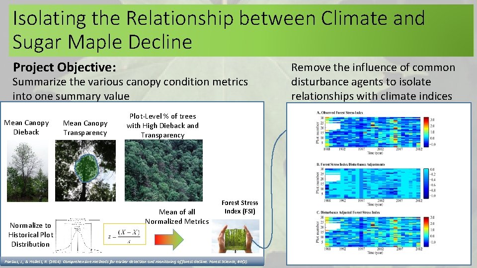 Isolating the Relationship between Climate and Sugar Maple Decline Project Objective: Summarize the various Isolating the Relationship between Climate and Sugar Maple Decline Project Objective: Summarize the various