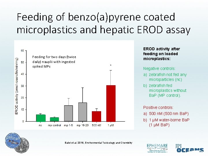 Feeding of benzo(a)pyrene coated microplastics and hepatic EROD assay Feeding for two days (twice