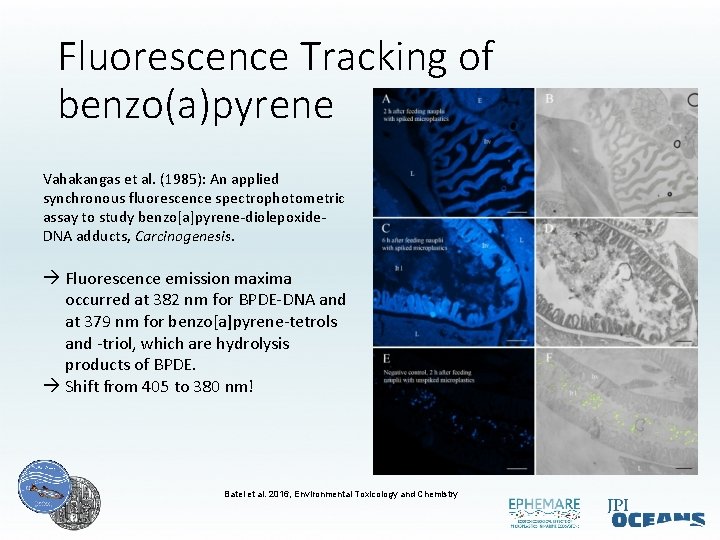 Fluorescence Tracking of benzo(a)pyrene Vahakangas et al. (1985): An applied synchronous fluorescence spectrophotometric assay