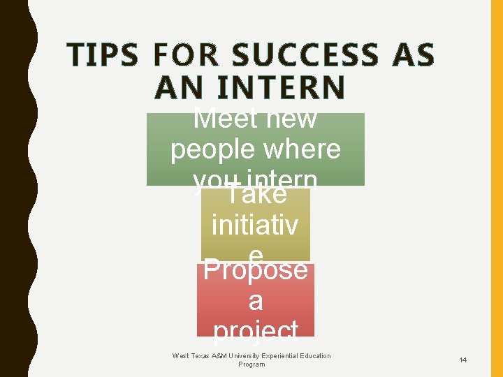TIPS FOR SUCCESS AS AN INTERN Meet new people where you intern Take initiativ