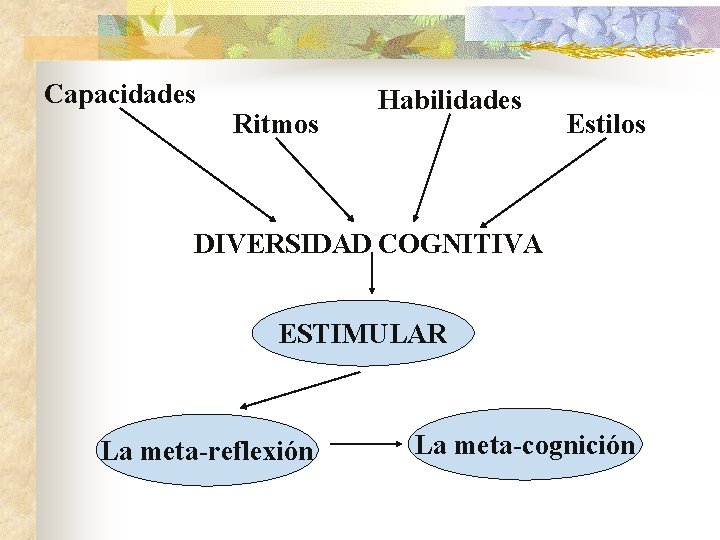 Capacidades Ritmos Habilidades Estilos DIVERSIDAD COGNITIVA ESTIMULAR La meta-reflexión La meta-cognición 
