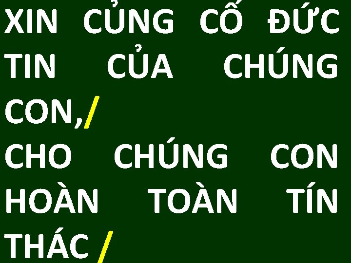 XIN CỦNG CỐ ĐỨC TIN CỦA CHÚNG CON, / CHO CHÚNG CON HOÀN TÍN