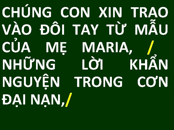 CHÚNG CON XIN TRAO VÀO ĐÔI TAY TỪ MẪU CỦA MẸ MARIA, / NHỮNG CHÚNG CON XIN TRAO VÀO ĐÔI TAY TỪ MẪU CỦA MẸ MARIA, / NHỮNG