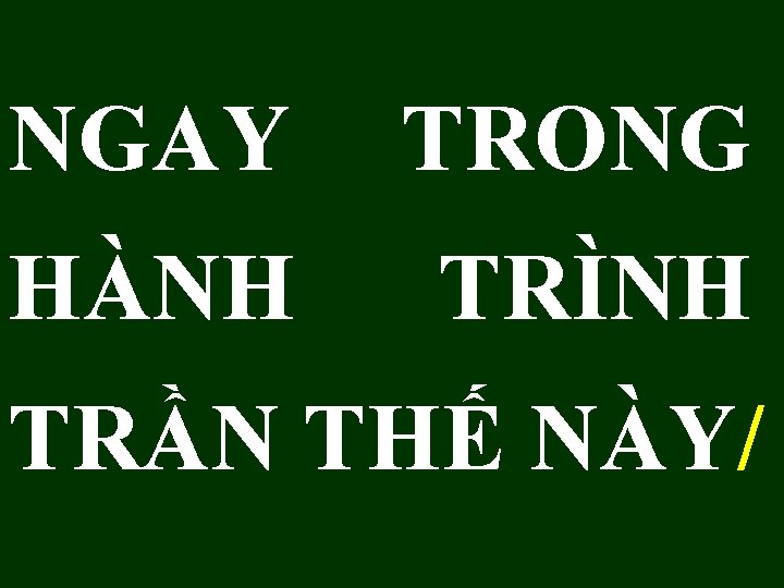 NGAY TRONG HÀNH TRÌNH TRẦN THẾ NÀY/ NGAY TRONG HÀNH TRÌNH TRẦN THẾ NÀY/
