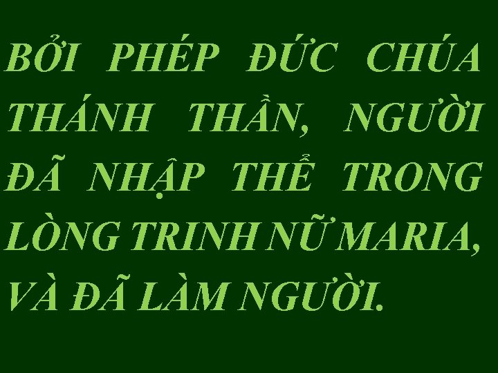 BỞI PHÉP ÐỨC CHÚA THÁNH THẦN, NGƯỜI ĐÃ NHẬP THỂ TRONG LÒNG TRINH NỮ