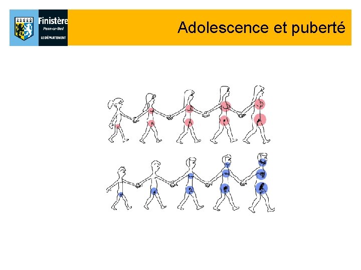 Adolescence et puberté Adolescence et puberté